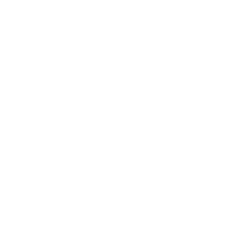 Iron Core Mech Survivor