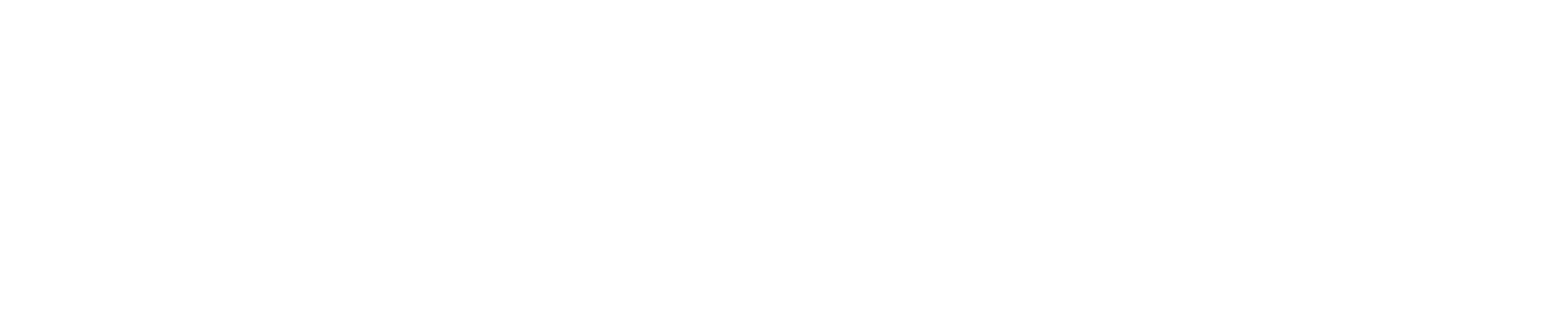 Iron Core Mech Survivor